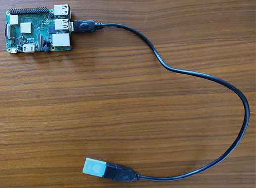 f1-rpi-skyconnect-fmt